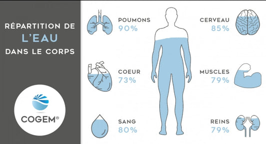 Hydratation et performance : l’erreur la plus sous-estimée